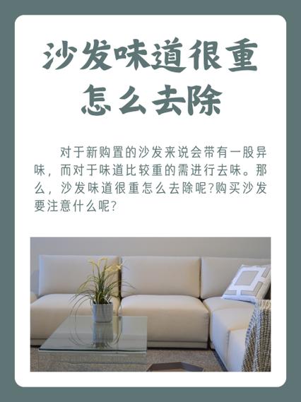 沙发除异味10个妙招缩略图