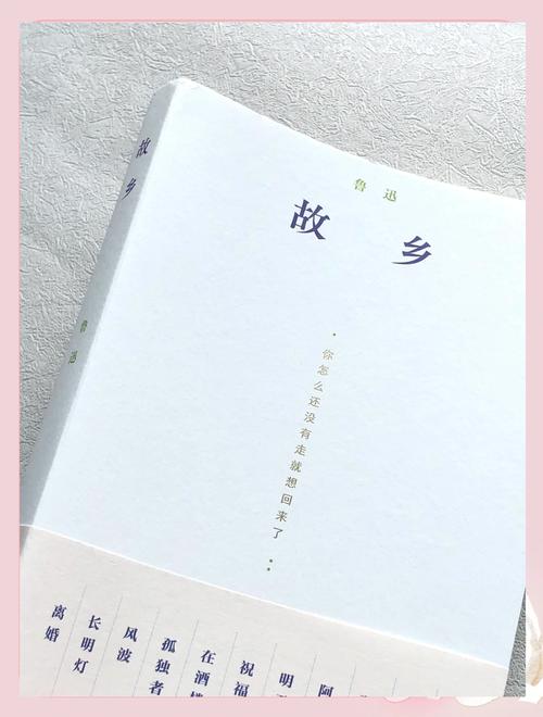 永远的迷妹永远的经典故乡游戏截图