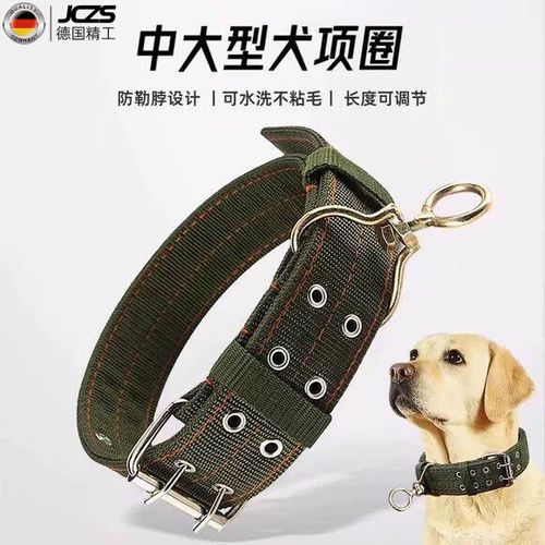 狗绳牵引绳和脖套游戏截图