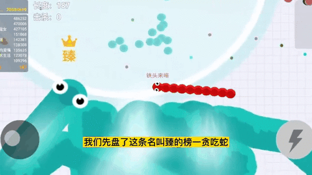 贪吃蛇大作战怎么开局就有大蛇