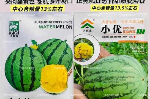 为什么我的西瓜视频不能赚金币缩略图