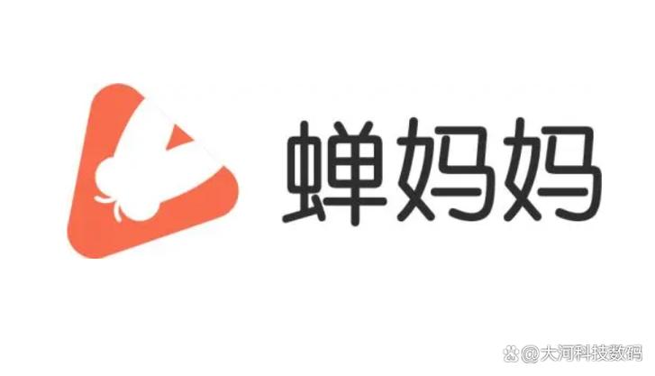 蝉妈妈是干嘛的缩略图