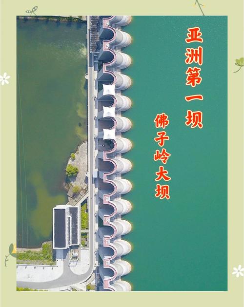 绿坝的寓意游戏截图