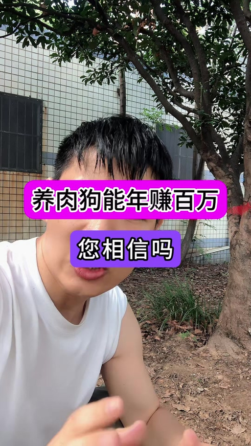 养狗可以赚钱吗缩略图