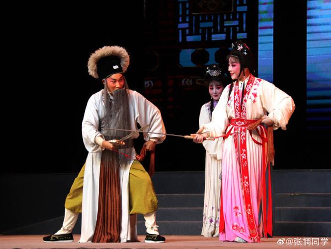 下载豫剧大全免费下载软件图标