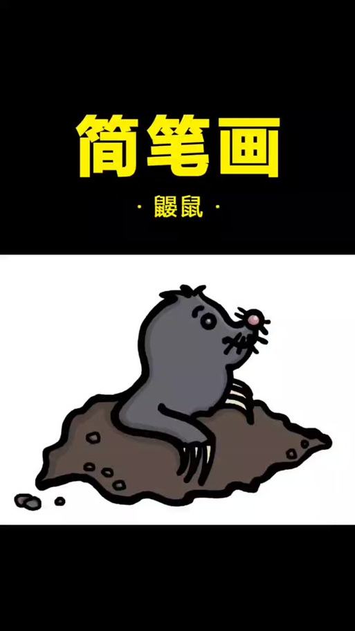 怎么样的鼹鼠先生