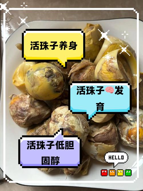 吃活珠子后不能吃什么缩略图
