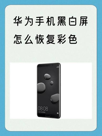 华为手机黑白变彩色游戏截图