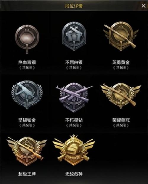 和平精英在哪看多少级了缩略图
