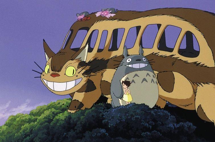 龙猫一般人不敢穿