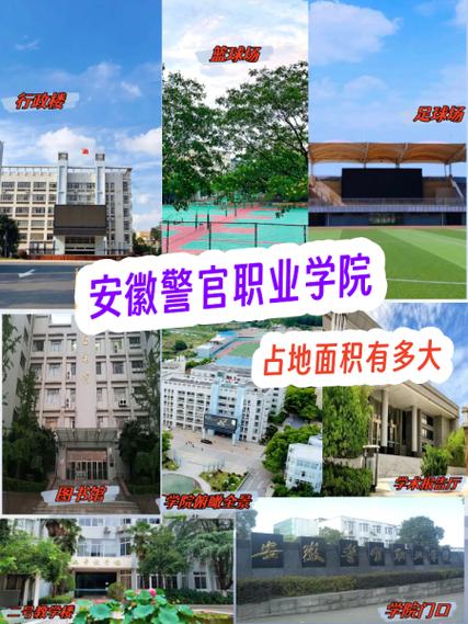 雪亮工程APP官方下载