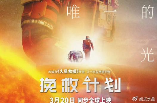 挽救计划简介内容