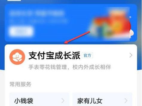 手表支付宝限额怎么设置缩略图