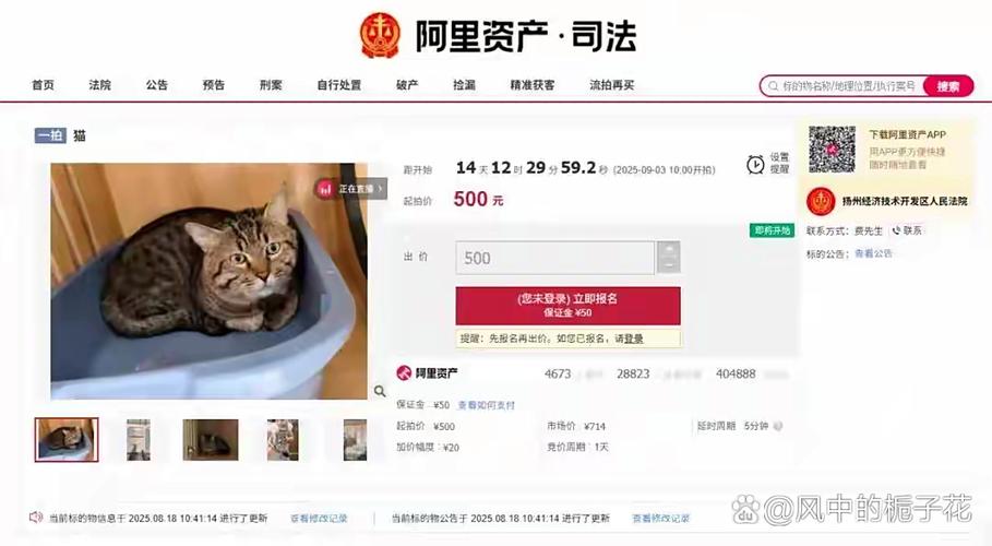 法拍网有哪些平台缩略图