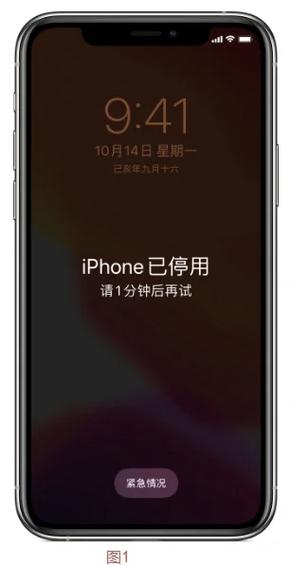 苹果手机下载忘记密码了怎么办图标