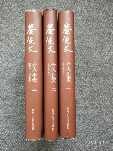 艾文小说