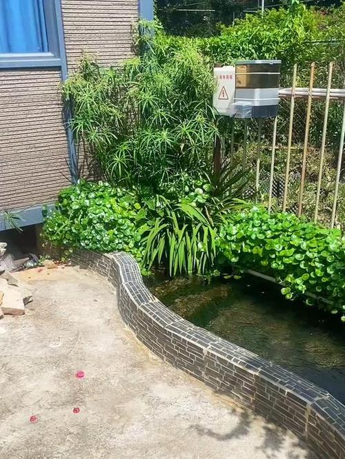 靠墙鱼池设计图