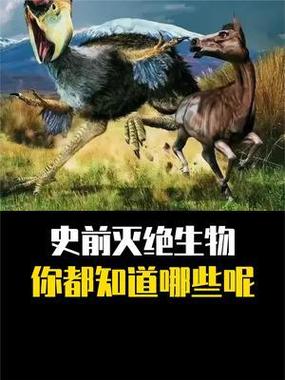 mc清除所有生物指令图标