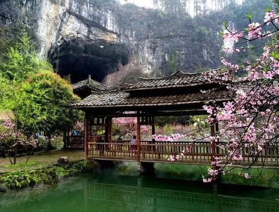 桃花源60岁以上老人免门票吗图标