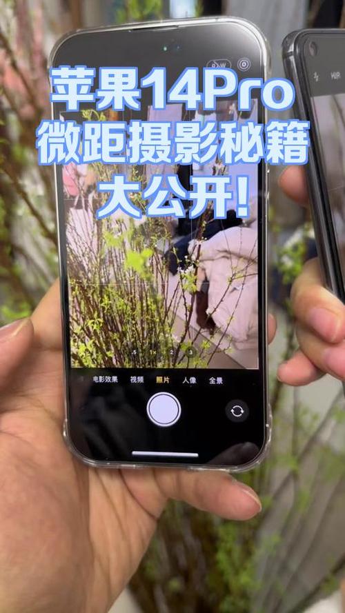 苹果14怎么调拍照好看