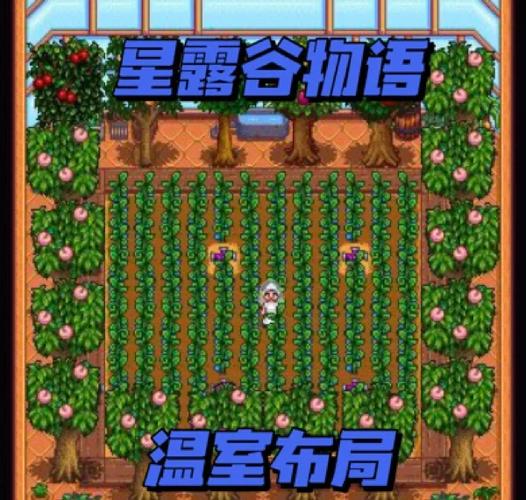 星露谷上古种子什么季节种