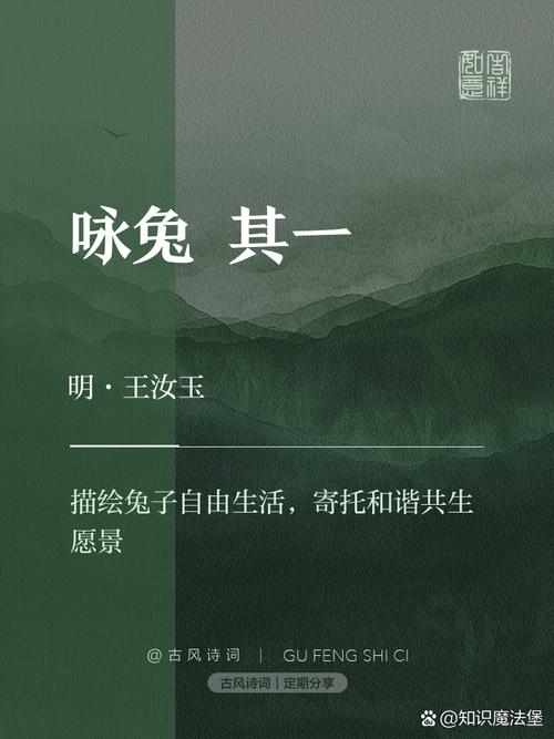 有兔免费阅读岳风缩略图