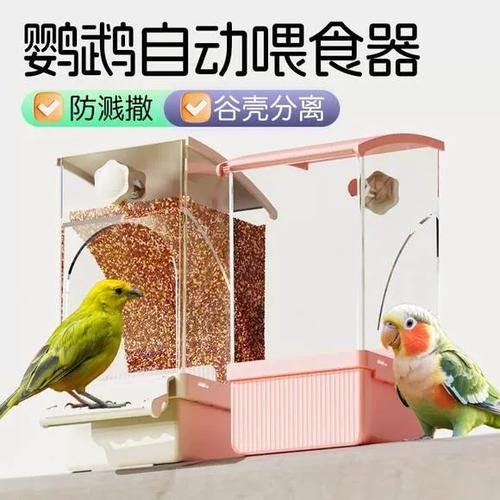鹦鹉自动喂食器缩略图