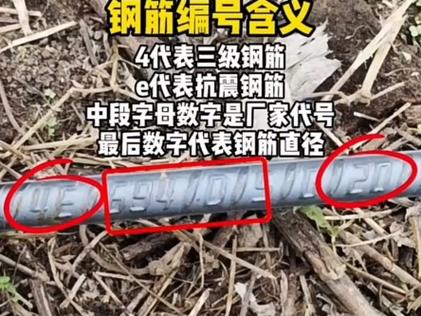 钢筋真假图片图标