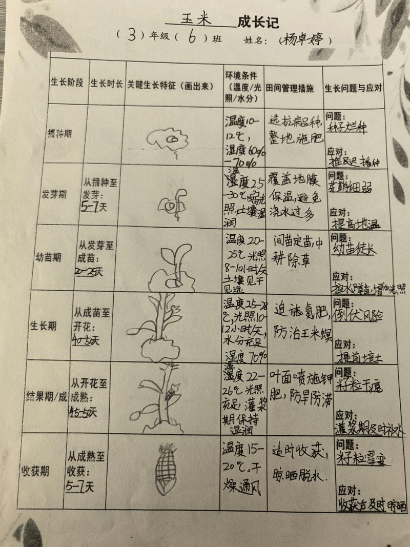 向日葵妈妈怎么加入挣佣金缩略图