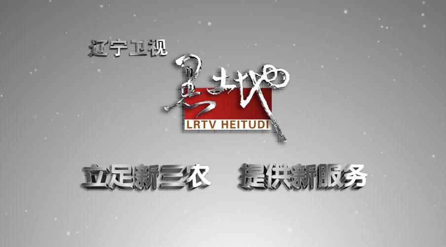 辽宁卫视网络电视缩略图