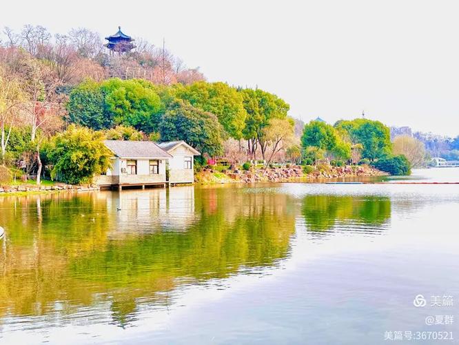 小桃园公园图标