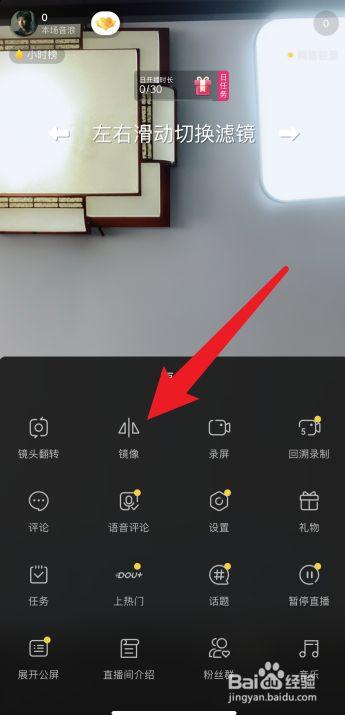 苹果手机拍照左右相反设置游戏截图