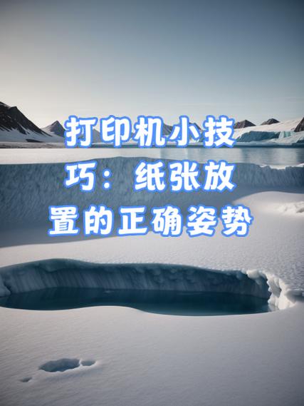打印机纸张怎么放进去