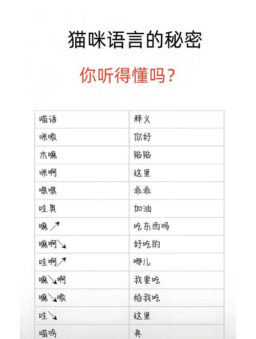 猫语小说官网下载缩略图