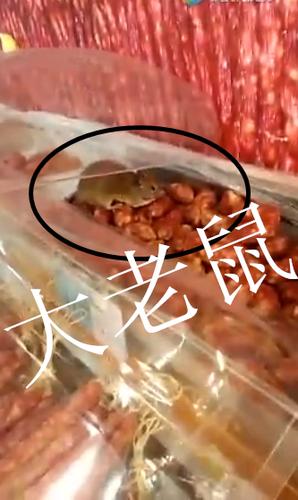 老鼠爬过的香肠最忌三种食物图标