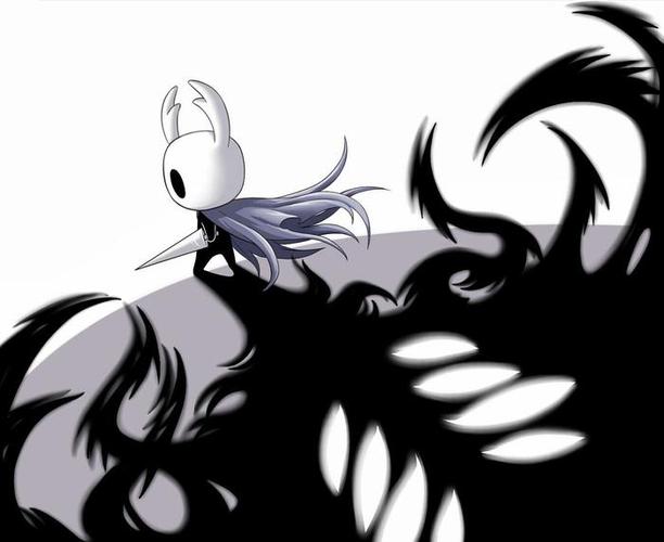空洞骑士7723