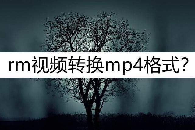 rm视频无法播放缩略图