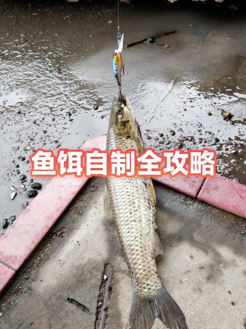 如何制作鱼饵缩略图