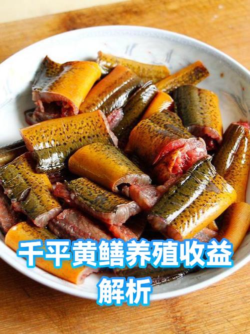 养黄鳝100斤一年利润图标