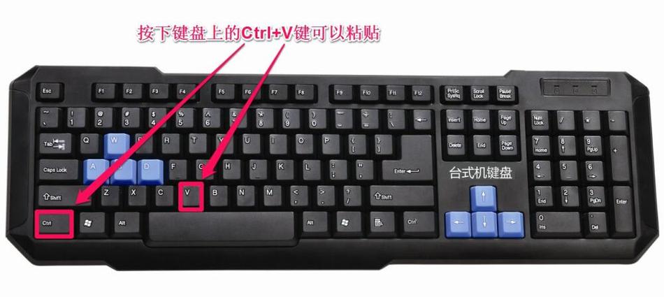 键盘那两个键是复制粘贴图标
