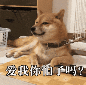 沙雕狗狗表情包gif缩略图