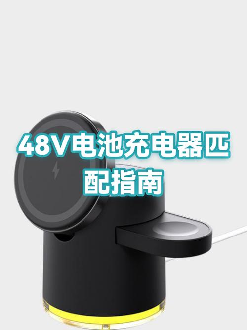 48v20a的电池能用48v30a的充电器吗?缩略图