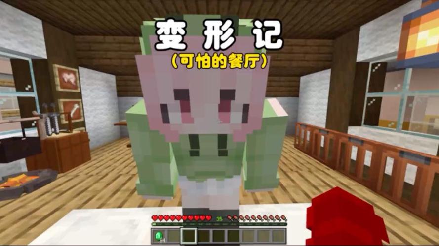 我的世界变性记6缩略图