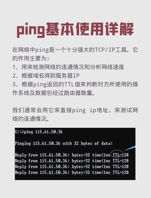 pingoai官方下载入口缩略图