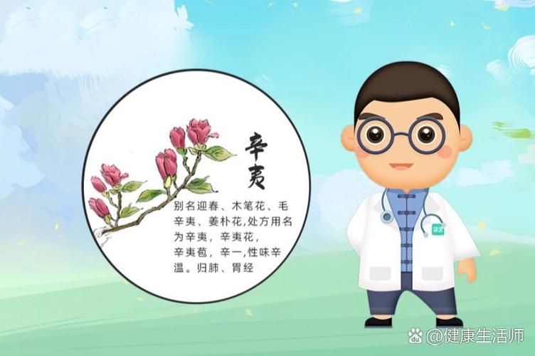 辛夷怎么用缩略图