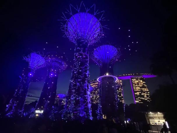新加坡交易所sgp图标