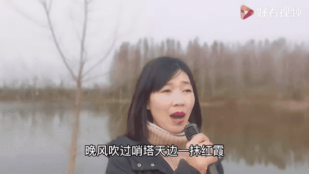 唱歌什么叫声线图标