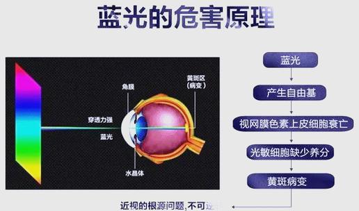 蓝光对眼睛的危害图标