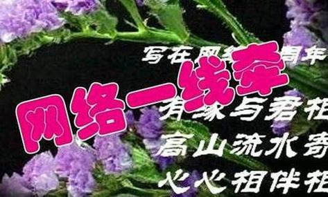网聊的缘分缩略图