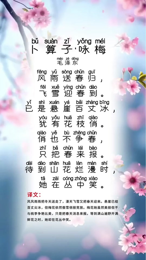 咏梅古诗游戏截图